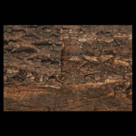 Repti Planet Background cork natural - parafa háttér terráriumokba (43,5x56x2cm)