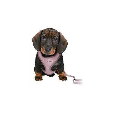 Trixie Junior Puppy Soft Harness with Leash - hám és póráz (világos lila) kölyök kutyák részére 26–34 cm/10mm, 2m