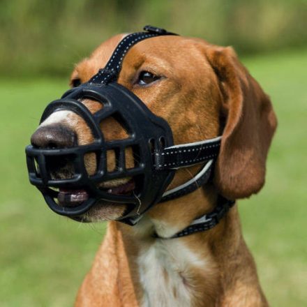 Trixie Muzzle Flex - szilikon szájkosár - fekete (M) 21cm