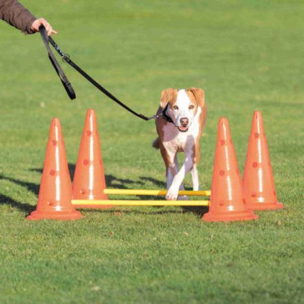 Trixie Sporting Obstacle Set - agility akadály (ugró akadály) kutyák részére (Ø30cm x 50/100cm)