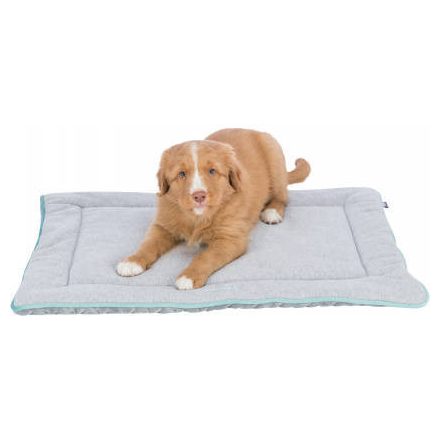 Trixie junior lying mat - fekhely (világosszürke/menta) kölyök kutyák részére (70x50cm)