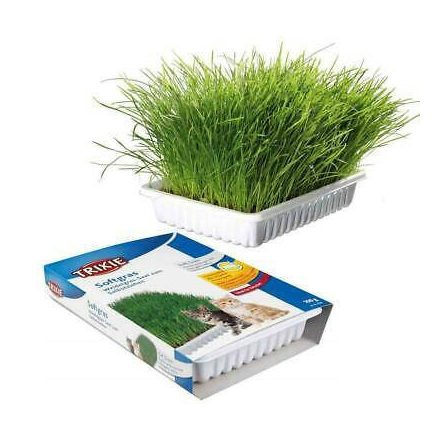 Trixie Soft Cat Grass BIO vitaminozott macskafű