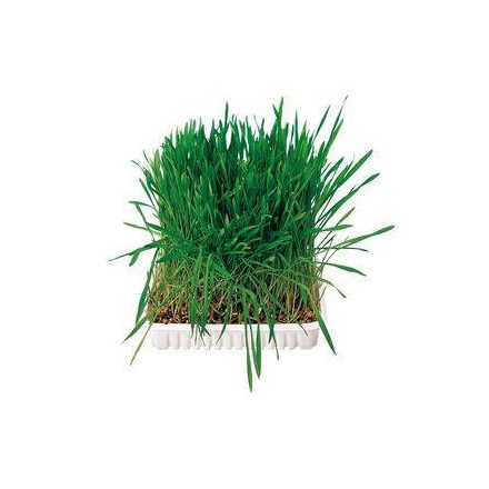 Trixie Small Animal Grass - kiegészítő eledel (fű) rágcsálók részére (100g)