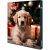 Trixie Xmas PREMIO Advent Calendar for Dogs - jutalomfalat (több féle) kutyák részére (24x8g)