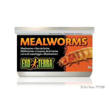 Exo-Terra Exo Terra Mealworms - eledel (Lisztkukac) terráriumi állatok részére (34g)