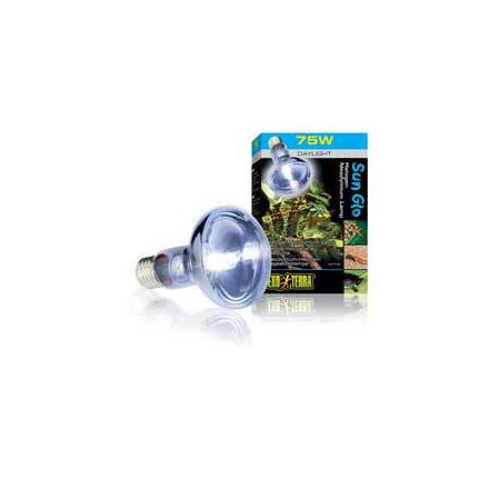 H.EXO-TERRA 2182 halogen 75w izzó