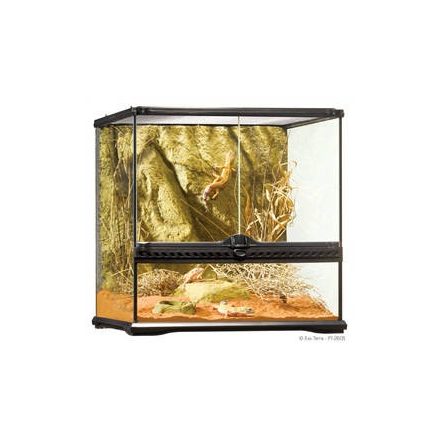 Exo-Terra Small Wide Terrarium - Dekoratív kivitelű üvegterrárium (45x45x45cm)