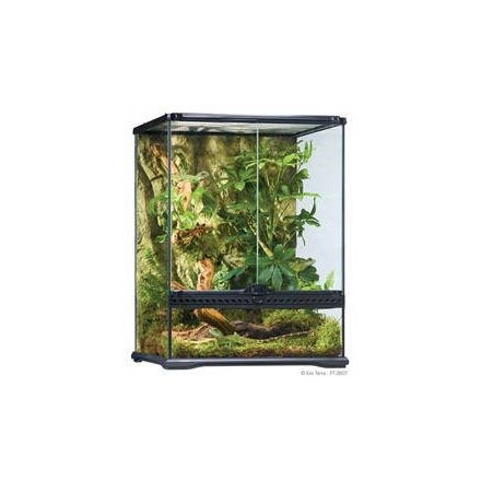 Exo-Terra Small Tall Terrarium - Dekoratív kivitelű üvegterrárium (45x45x60cm)