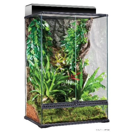 Exo-Terra X-Tall Medium Terrarium - Dekoratív kivitelű üvegterrárium (60x45x90cm)