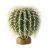 Exo-Terra Desert Plant Barrel Cactus Large - Terráriumi műnövény dekoráció (hordó kaktusz) cca.17cm