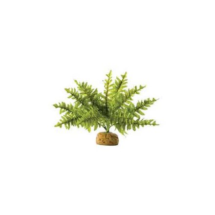 Exo-Terra Rainforest Plant Boston Fern Small - Terráriumi műnövény dekoráció (szoba páfrány) cca.10cm