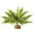 Exo-Terra Rainforest Plant Boston Fern Small - Terráriumi műnövény dekoráció (szoba páfrány) cca.10cm