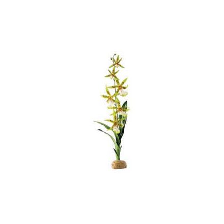 Exo-Terra Rainforest Plant Spider Orchid - Terráriumi műnövény dekoráció (Pók Orchidea) cca.45cm