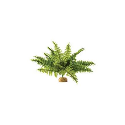 Exo-Terra Rainforest Plant Boston Fern Medium - Terráriumi műnövény dekoráció (szoba páfrány) cca.20cm