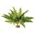 Exo-Terra Rainforest Plant Boston Fern Medium - Terráriumi műnövény dekoráció (szoba páfrány) cca.20cm