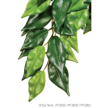 Exo-Terra Silk Plant Ficus Medium - Terráriumi selyem műnövény dekoráció (Fikusz) cca.42cm