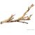 Exo-Terra Forest Branch Sanblasted Grapevine Small  - Mászóágak terráriumba (szőlőből) - dekoráció (30cm)