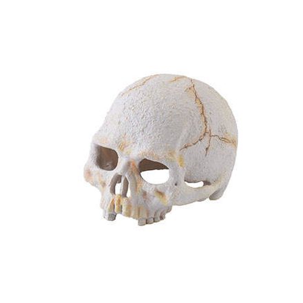 Hagen Exo Terra Primate Skull - búvóhely (koponya formájú) terráriumokba